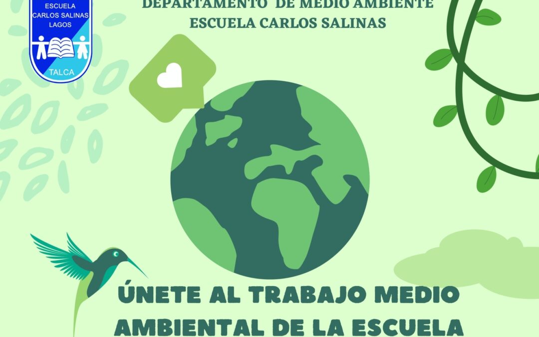 trabajo medio ambiental de la escuela